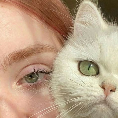 Beautiful Eyes Color, Lily Evans, Aesthetic Eyes, Cat Aesthetic, Pretty Eyes, Eye Art, Girls Eyes, Pretty Cats, Green Aesthetic