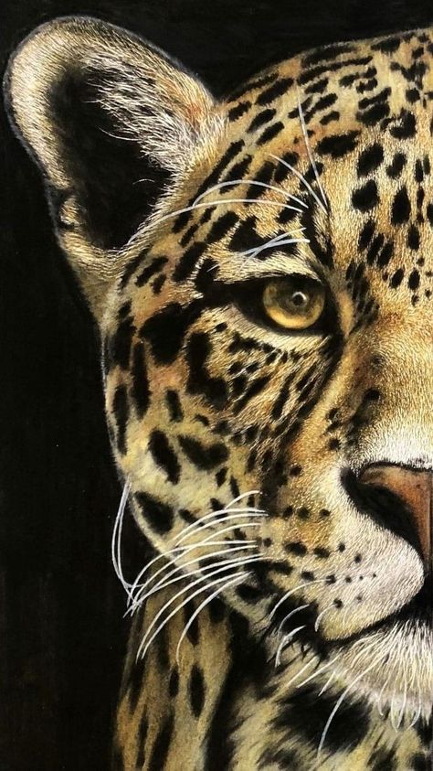 Abstract Painting Diy, Safari Art, Lion Photography, Leopard Art, Jungle Art, Face Paintings, Floral Doodle, Artistic Pictures, Big Cats Art