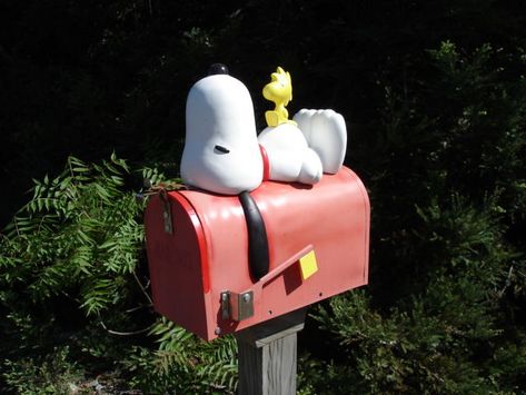 Snoopy Mailbox, Funny Mailboxes, Casa Disney, Snoopy Pictures, Snoop Dog, Snoopy Love, Charlie Brown And Snoopy, Peanuts Gang, Snoopy And Woodstock