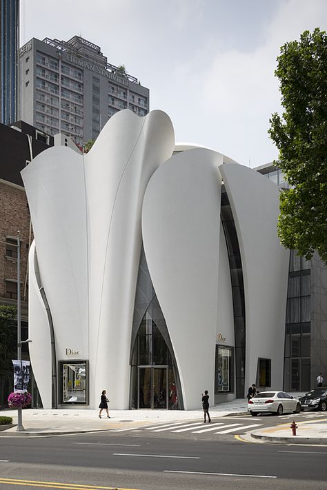 Christian De Portzamparc, Minimalist Window, Dior Shop, Building Facade, Facade Architecture, Facade Design, Modern Buildings, Contemporary Architecture, Retail Design