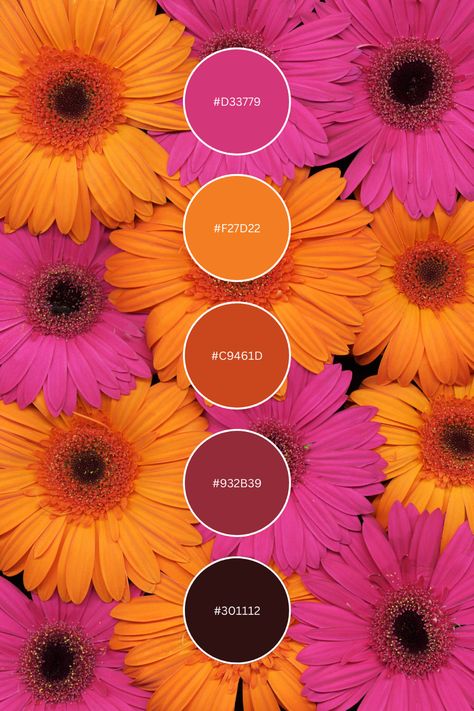 Orange Pink White Color Palette, Expensive Color Palette, Pink Colour Combo, Pink Complementary Colors, Native Color Palette, Mother’s Day Color Palette 2024, Pink Green Orange Wedding, Florist Color Palette, Mothers Day Color Palette