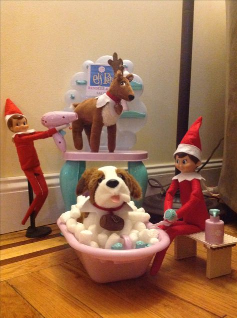 Elf Pet reindeer and dog salon Elf On A Shelf Dog Ideas, Elf On The Shelf Ideas With Pet Dog, Elf On The Shelf Saint Bernard Ideas, Elf On The Shelf Pets Ideas, Elf On The Shelf With Pets, Elf Pets Ideas, Elf On The Shelf Dog Ideas, Elf On The Shelf Reindeer Ideas, Elf On The Shelf With Reindeer Ideas