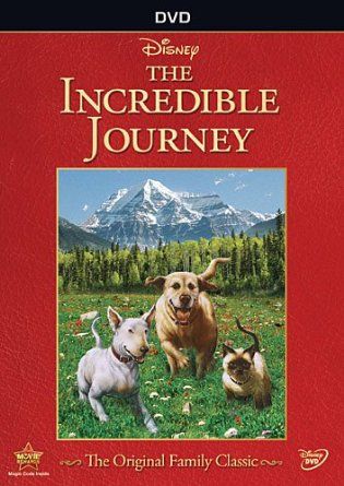 The Incredible Journey The Incredible Journey, Good Movies On Netflix, Cross Country Trip, Disney Sketches, Walt Disney Studios, Disney Studios, Disney Merchandise, Classic Disney, Amazing Adventures