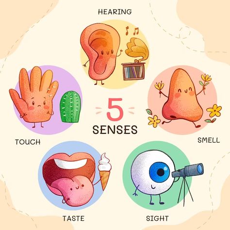 Clip Art For The Word Thr 5 Senses Vectors, Photos and PSD files | Free Download 5 Senses, File Free, Psd Files, Short Stories, Graphic Resources, Vector Free, Sense, Free Download, Clip Art