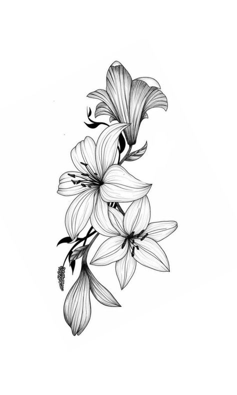 Flower Tattoo Stencil, Lilly Tattoo Design, Lily Flower Tattoo, Lillies Tattoo, Lily Flower Tattoos, Stencil Outline, Flower Tattoo Drawings, Floral Tattoo Sleeve, Lily Tattoo