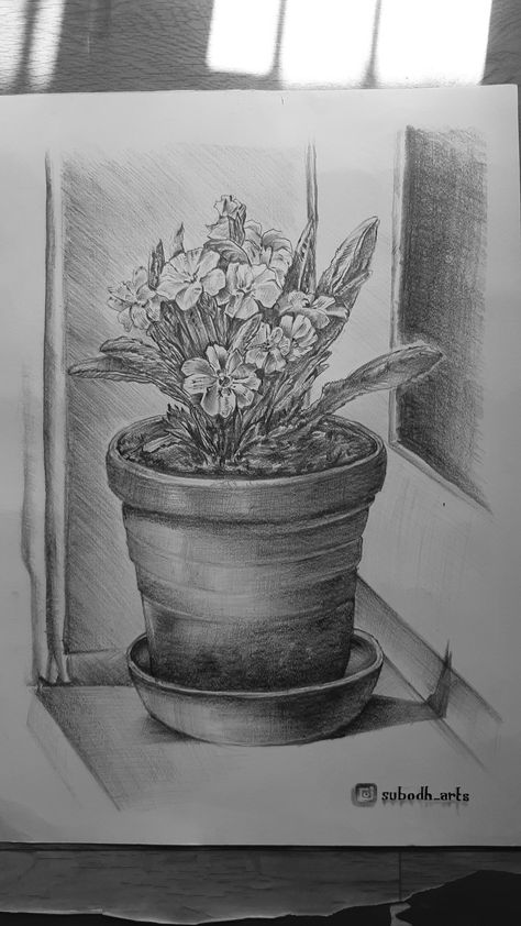 Flowerpot Drawings, Flower Pot Drawing Pencil, Flower Pot Sketch, Pot Sketch, Pot Still Life, Flower Pot Drawing, Exam Images, Easy Still Life Drawing, Easy Charcoal Drawings