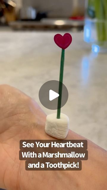 Raising Dragons on Instagram: "See Your Heartbeat With A Marshmallow and A Toothpick 💗 All you need is a toothpick and a mini marshmallow (and a heart sticker is optional) for this easy and super cool science experiment. Place the toothpick in the marshmallow and sticker on top of the toothpick if you have one. Then feel on your wrist for your pulse. Place the marshmallow on top of the pulse area and watch the toothpick move to the beat of your heart! So cool! #science  #scienceexperiment #scienceiscool #homeschool #kitchenscience #kidsactivi" Marshmallow Activities, Raising Dragons, Marshmallow Crafts, Chalkboard Wall Art, Boredom Busters For Kids, Cool Science, Bored Kids, Kid Experiments, Easy Science Experiments