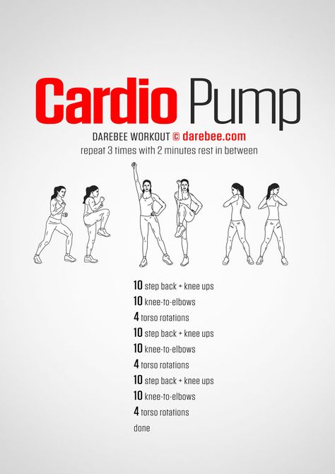 Cardio Pump Workout Darbee Workout Women, Darbee Workout, Lose Your Belly Diet, Pump Workout, Exercise Goals, Fatloss Transformation, Women Exercise, Fat Burning Workout Routine, Workout Women