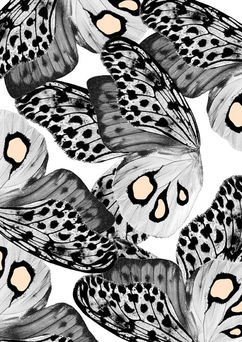 the IMPRINT project / Series # 04 on Behance Whats Wallpaper, Animal Print Wallpaper, Textile Pattern Design, Animal Prints Pattern, Print Inspiration, Jolie Photo, Butterfly Wallpaper, Print Wallpaper, Butterfly Art