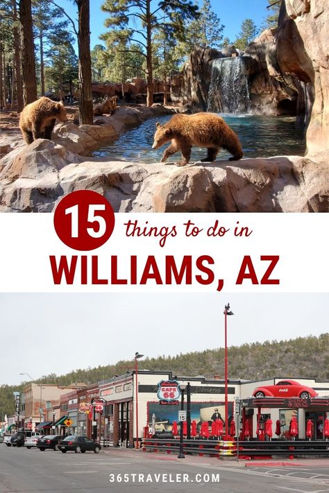 Page Az Things To Do, Arizona Bucket List, Williams Az, Coconino National Forest, Deer Farm, Williams Arizona, Travel Arizona, Arizona Living, Page Az