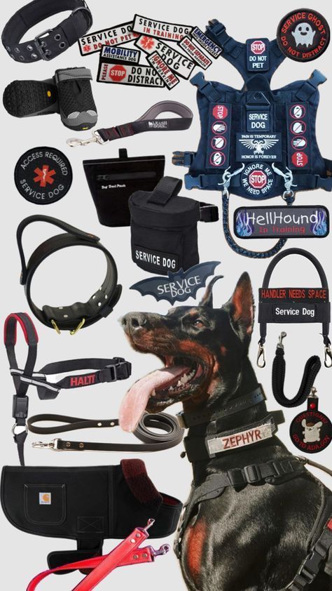 Working Dog Breeds, Service Dog Gear, Warrior Tattoo Sleeve, Service Dog Patches, Service Dogs Gear, Service Dog Vests, Dog Box, Emotional Support Dog, Dog Patch