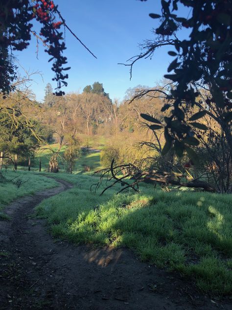 Trail Hikes. Dry Creek Trail, Modesto, Ca Modesto California, Fall Senior Pictures, Dry Creek, I Love My Friends, Fall 2024, Hiking Trails, Senior Pictures, Country Roads, Hiking