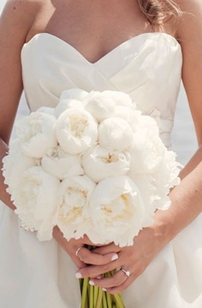 Opt for colorful bouquets for your bridesmaids if yours is all white, like this full bouquet of peonies. Simple Wedding Flowers, Bouquet Inspiration, All White Wedding, Blue Wedding Flowers, White Wedding Bouquets, Colorful Bouquet, Mod Wedding, White Peonies, White Bouquet