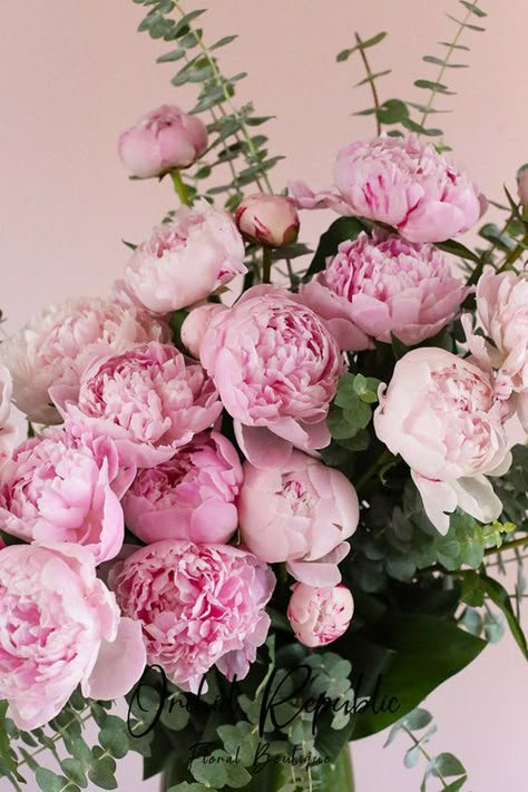 The prettiest pink peonies of the season freshly picked and artfully arranged with aromatic eucalyptus leaves. This lovely flower arrangement is presented in a stylish and slender glass vase lined with ti leaves. Featured Flowers: PeoniesRecommended for: Birthday, RomanceIncludes: Free Message Card Delivery: Guaranteed same-day flower delivery in Los Angeles and Orange County. Medium: 12 Peonies Flower Arrangements Peonies, Peonies Arrangement, Pastel Peonies, Light Pink Peonies, Tattoo Session, Pink Flower Arrangements, Get Well Flowers, Flower Identification, Very Beautiful Flowers