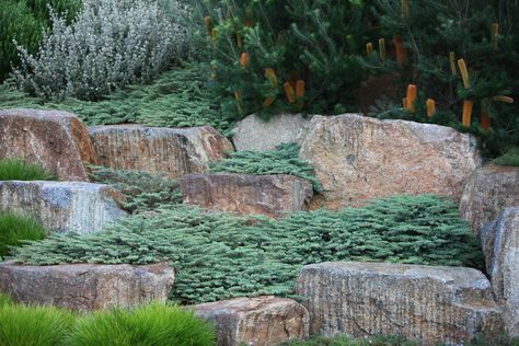 Boulder Garden Rock Landscaping, Landscape Circulation, Boulders In Landscaping, Robert Boyle, Rockery Garden, Australian Native Garden, Landscaping With Boulders, Modern Landscape Design, Patio Garden Design