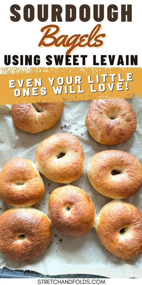 Sourdough Bagels Using Sweet Levain Sourdough Breakfast Recipes, Sourdough Bagels Recipe, Sourdough Bagel, Sourdough Breakfast, Homemade Sourdough Bread Recipes, Dried Fruit Recipe, Artisan Sourdough, Bagels Recipe, Sourdough Bagels