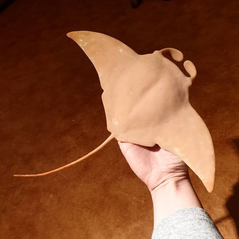 Manta Ray Clay Sculpture, Ceramic Manta Ray, Manta Ray Sculpture, Cardboard Manta Ray, Stingray Clay Sculpture, Clay Manta Ray, Paper Mache Manta Ray, Sea Creature Clay, Clay Stingray