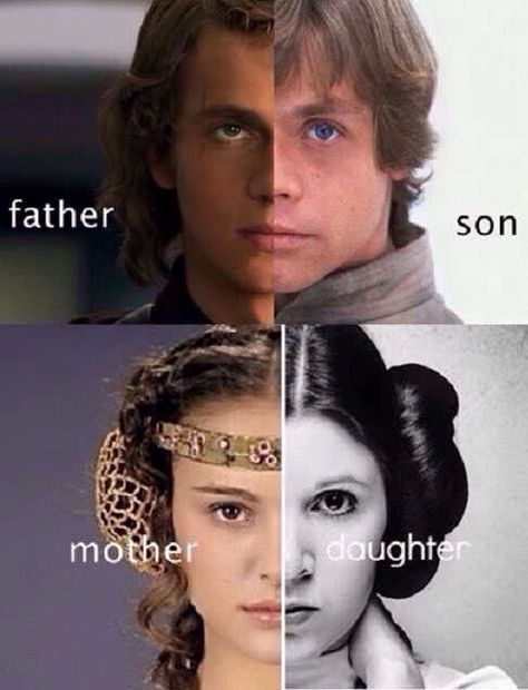 Father/son mother/daughter comparison Ashoka Star Wars, Star Wars Meme, Wars Aesthetic, Secret Party, Star Wars Love, Star Wars Film, Mark Hamill, Star Wars Pictures, Carrie Fisher