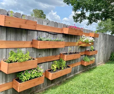 Fence Planter Boxes Hanging, Fence Gardening, Vegetable Garden Along Fence, Hanging Fence Planters Ideas, Fence Planter Boxes, Fence Planters Ideas, Fence Hanging Planters, Vege Garden Ideas, Vegetable Garden Layout Design