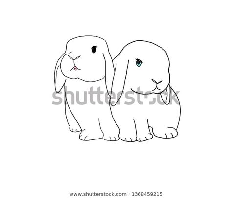 Holland Lop Drawing, Leaping Bunny Tattoo, Lop Bunny Tattoo, Holland Lop Tattoo, Mini Lop Bunny Tattoo, Holland Lop Bunny Tattoo, Rabbit Leaping Tattoo, Rabbit Line Art Tattoo, Holland Lop Bunnies