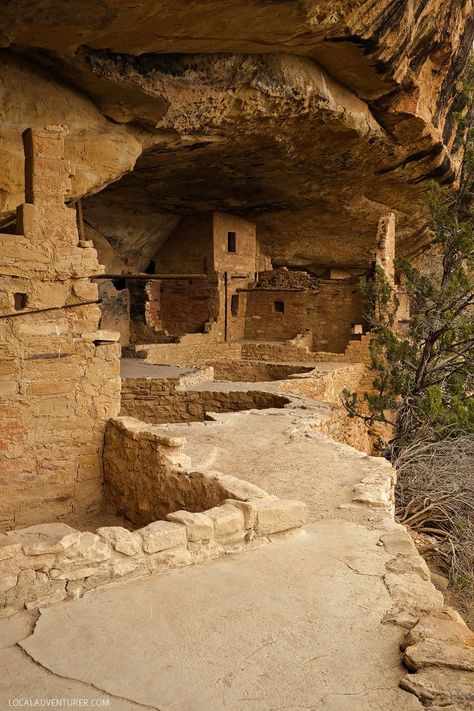 Balcony House, Water Plants Indoor, House With Balcony, Mesa Verde National Park, Visit Colorado, Hiking Destinations, Ancient Architecture, Ancient Ruins, Unesco World Heritage