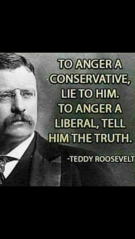 Roosevelt Quotes, Patriotic Quotes, Teddy Roosevelt, Historical Quotes, Theodore Roosevelt, Truth Hurts, More More, Lesson Quotes, Life Lesson Quotes