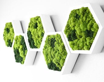 Mos Wand, Moss Decor, Moss Wall Art, Moss Art, Moss Wall, Honeycomb Design, Wall Garden, Accent Wall Decor, Gifts For An Artist