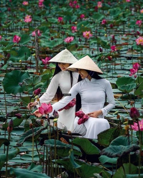 Girls in Vietnamese traditional clothes are picking lotus flowers which are the national flower of Vietnam ~.~ Traditional Vietnamese Clothing, Vietnamese Traditional Clothing, Vietnamese Clothing, Beautiful Vietnam, Vietnam Art, Backpacking Asia, Vietnam Tours, National Flower, South China Sea