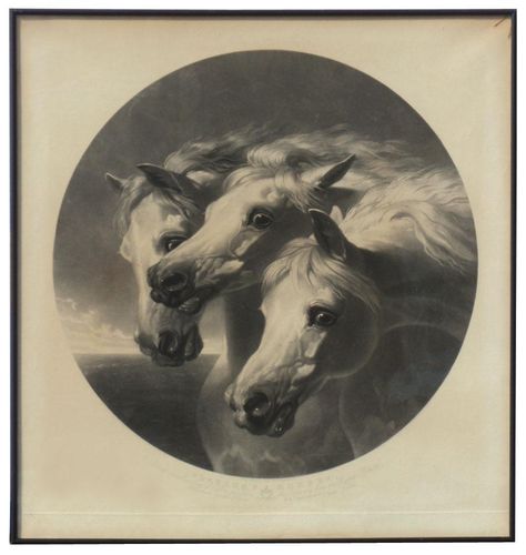 “Pharaoh’s Horses” by J.F. Herring, first exhibited in 1848. A three head studies of the grey Arabian stallion, Imaum, originally owned by QueenVictoria. She presented Imaum to her Clerk of the Royal Stables, who sold him to Tattersall’s and purchased by the artist J.F. Herring. Used as a model for many of his paintings, Herring kept him his whole life. A trainer was hired and this respected trainer said Imaun was the most brilliant horse he had ever worked known. Herring dearly loved Imaun. Scary Godmother, Painted Horses, Arabian Stallions, Horse Tattoo, Equine Art, Arabian Horse, Pretty Horses, Horse Painting, Horse Head