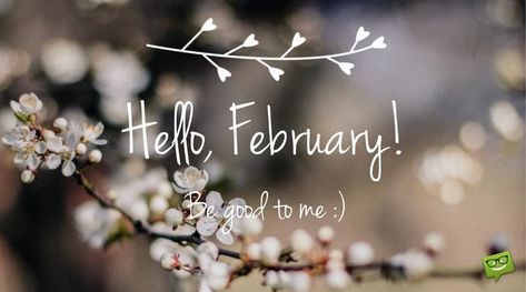 Hello, February! Be good to me. Hello February Quotes, February Images, Balloons Background, Welcome February, February Quotes, February Wallpaper, Wallpaper For Facebook, February Month, February Bullet Journal