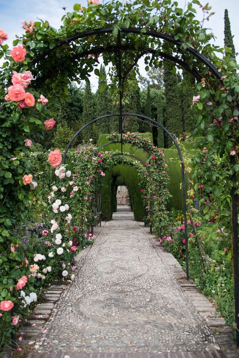 Spanish Gardens, Rose Garden Design, Spanish Garden, Rose Trellis, Alhambra Granada, Granada Spain, Classic Garden, Most Beautiful Gardens, Cypress Trees