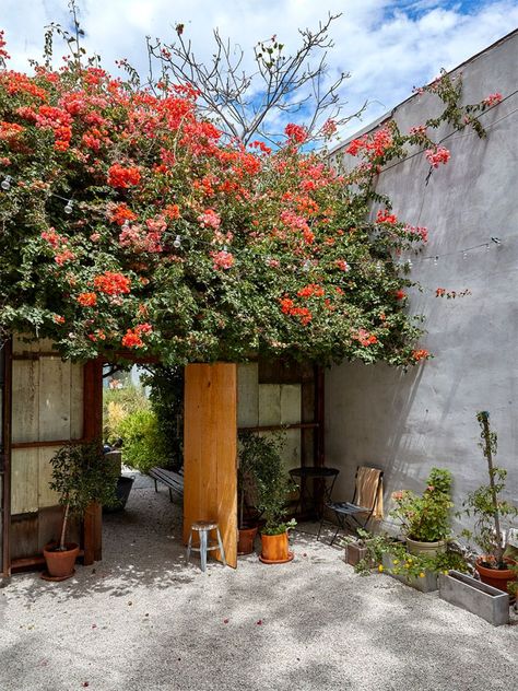 Rainbow Backsplash, Tiny U Shaped Kitchen, Beach Courtyard, Colorful Kitchen Backsplash, Venice Beach House, Warehouse Renovation, Converted Warehouse, Tuolumne Meadows, Shaped Kitchen