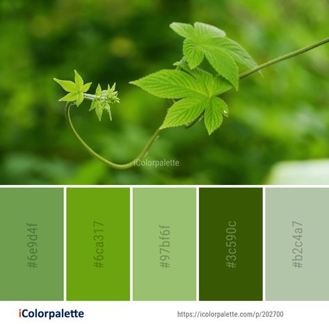 Leaf Colour Palette, Leaf Color Palette, Leaf Coloring Page, Hex Color Palette, House Color Palettes, Leaf Images, Color Schemes Colour Palettes, Color Spectrum, Green Colour Palette