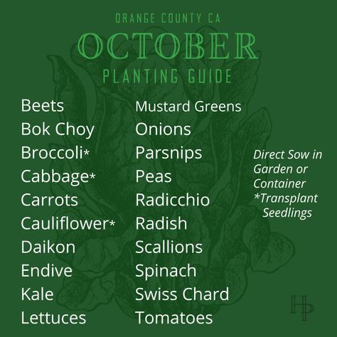 Zone 10b Planting Guide October Fruits and Vegetables Vegetables To Plant In October, Planting In October, October Planting Guide, What To Plant In October, October Planting, Carrot Seedlings, Greenhouse Living, Potting Ideas, Planting Techniques