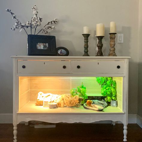 Dresser Terrarium Diy, Diy Bearded Dragon Enclosure Dresser, Dresser Terrarium, Diy Bearded Dragon Enclosure, Dragon Enclosure, Lizard Cage, Bearded Dragon Terrarium Ideas, Bearded Dragon Tattoo, Diy Reptile