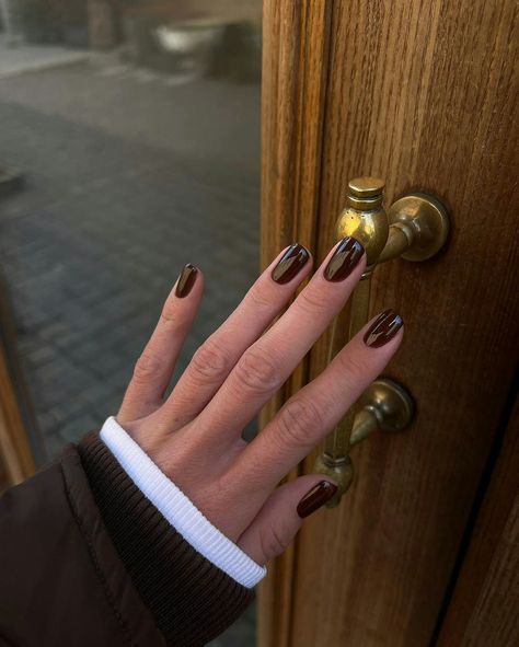 Brown Nail Polish, Brown Nail, Brown Nails Design, Milky Nails, Nail Idea, Rich Burgundy, Fall Nail Colors, Brown Nails, Autumn Nails