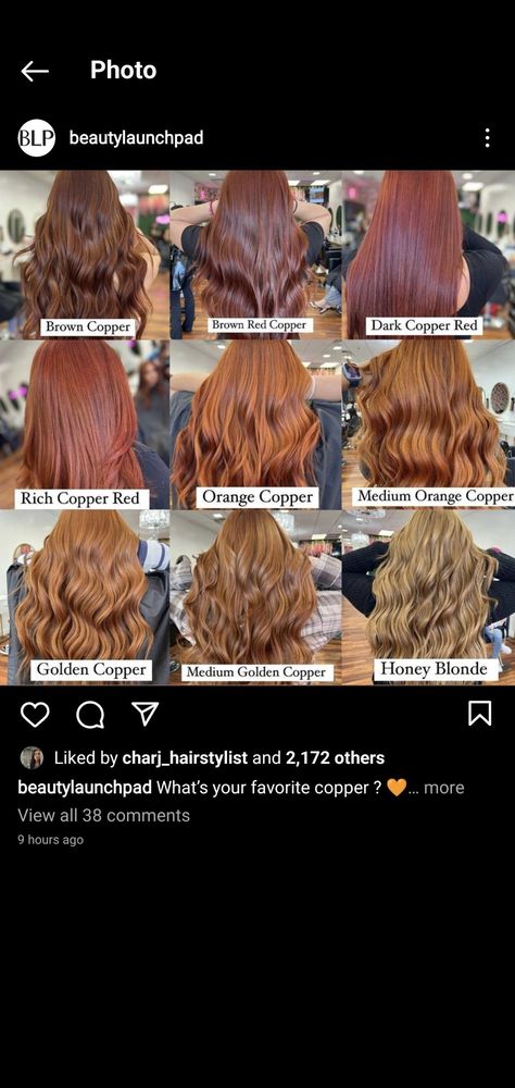 Copper Shades Hair, Copper Dye On Brown Hair, Different Types Of Ginger Hair, From Brown To Copper Hair, Different Copper Hair Colors, Brown Hair To Ginger, Shades Of Ginger Hair Chart, Ginger Hair On Brown Hair, Copper Hair Glaze