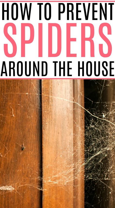 Do you hate those creepy, crawly bugs around your house? Check out how to naturally get rid of spiders in the house. It's easy to get rid of spiders without using a bunch of chemicals. Plus, keep spiders away from places like your basement and crawlspace. Spider Spray, Natural Cleaners Diy, Green Cleaning Recipes, All Natural Cleaning Products, Get Rid Of Spiders, Diy Essential Oil Recipes, Clean Washing Machine, House Cleaning Checklist, Natural Cleaning