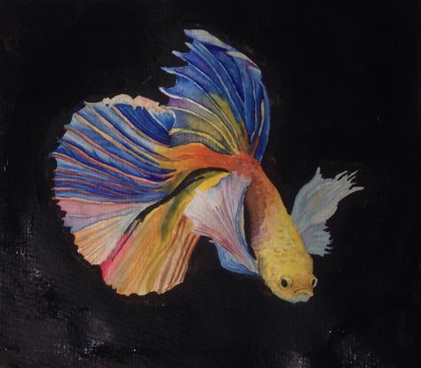 watercolour rainbow beta fish Beta Fish Painting, Watercolour Rainbow, Aquarium Ideas, Beta Fish, Rainbow Fish, Watercolor Rainbow, Pallet Painting, Fish Painting, Fish Art