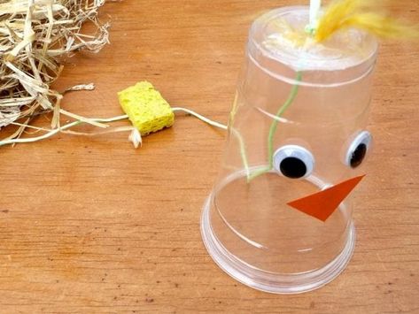 Chicken Games For Kids, Plastic Cup Crafts, Jungle Crafts, Preschool Thanksgiving, Chicken Games, Farm Unit, Farm Preschool, Chicken Crafts, Stem Crafts