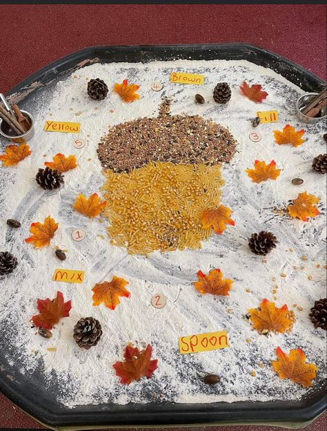 Autumn Sensory Tray, Autumn Sensory Activities, Autumn Tuff Tray, Baby Room Activities, Autumn Activity, Halloween Infantil, Eyfs Activities, Baby Art Projects, Nursery Activities