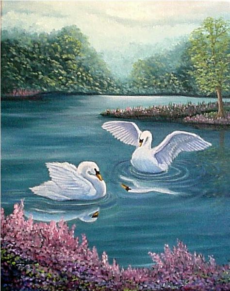 Swan In Lake Painting, Swan In A Lake Drawing, Swan In Lake, 2 Swans Painting, Lake Animals, Swans, Swan Painting, Swans Art, River Painting