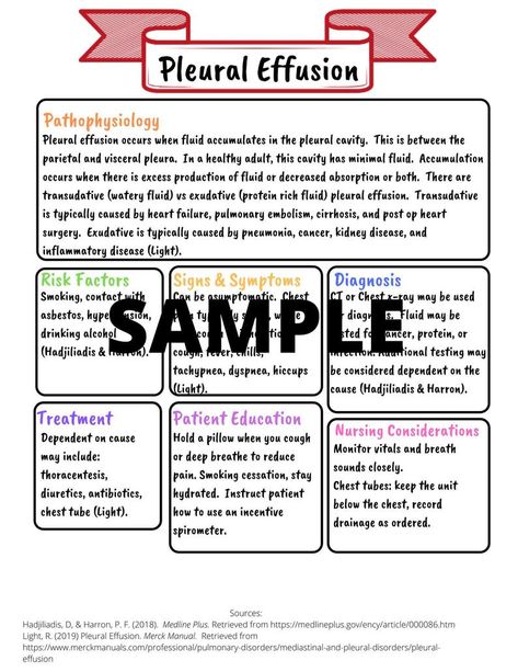 Pleural Effusion Disease Study Guide | Etsy Np School, Nurse Study, Pleural Effusion, Med Surg Nursing, Nursing Study Guide, Medicine Notes, Nurse Study Notes, Nursing School Survival, Nursing School Graduation