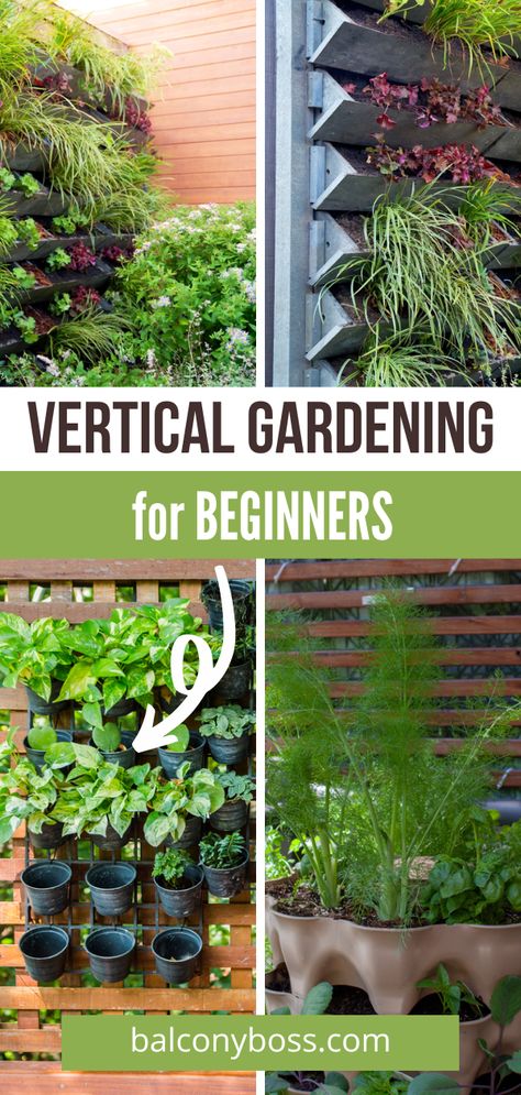 Small Sustainable Garden, Verticle Gardening Vegetables, Balcony Hacks, Garden Decorations Ideas, Birmingham House, Urban Gardening Balcony, Diy Vertical Garden, Vertical Herb Gardens, Patio Herb Garden