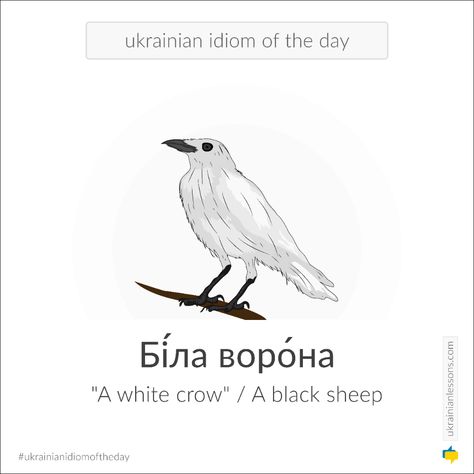 Ukrainian Quote, Ukrainian Mythology, Name Of Months, Idioms And Proverbs, Proverbs Quotes, Teaching History, My Heritage, Buy A Cat, Proverbs