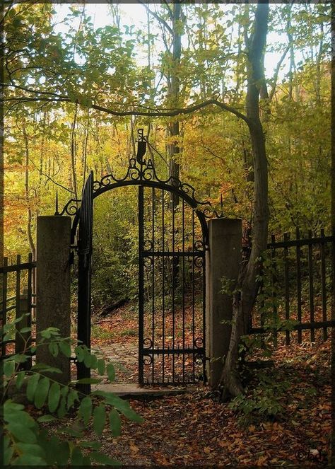 Old Gates, Garden Gates And Fencing, Wrought Iron Gates, Iron Fence, Iron Gates, Fence Gate, Iron Gate, Garden Doors, Beautiful Doors