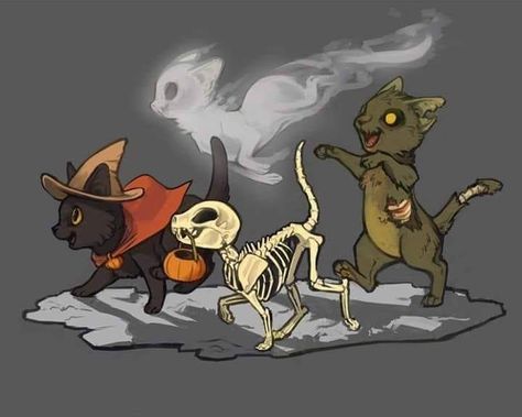 A picture of four kittens, one in a witches hat with a cape, a skeleton kitten with a pumpkin, a ghost kitten, and a zombie kitten. Halloween spooky themed. Asthetic drawing. Zombie Cat, Arte Monster High, Cartoon Cats, Stickers Kawaii, Halloween Drawings, Cat Drawing, Halloween Cat, Halloween Art, Cat Art