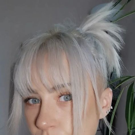 aelfi howarth on Instagram: "Aelfi flippin fringe festival 💥 . . . . #undercut #buzzcut #shavedsides #undercutbob #platniumblonde #shorthair #bluntbob #bangs #fringe" Buzzcut With Bangs, Long Hair Micro Bangs Undercut, Rainbow Bangs Fringes, Bluntbob Bangs, Goth Micro Bangs, Triangle Bangs Goth, Bangs Fringe, Undercut Bob, Fringe Festival