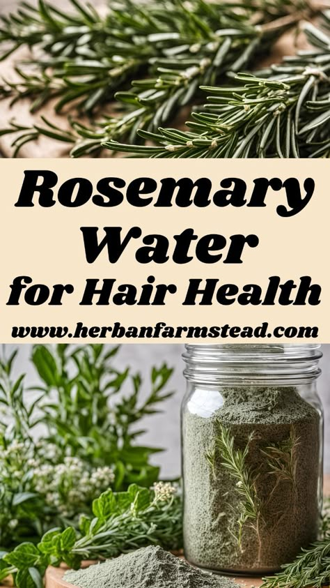 Transform Your Hair Naturally with Rosemary Water! 🌿 Discover how to boost hair growth, reduce dandruff, and add shine using this simple, all-natural remedy. Rosemary water is a powerhouse for hair health, known for its antioxidant and anti-inflammatory properties that nourish the scalp and strengthen your strands. Learn how to make rosemary water at home with easy, step-by-step instructions and find out why this herbal remedy is a must-have in your hair care routine. Ready for healthier, more vibrant hair? Click to unlock the secrets of rosemary water now! 🌟 #HairHealth #NaturalHairCare #HerbalRemedies #HealthyHairTips #DIYHairCare #RosemaryBenefits Rosemary For Hair Growth How To Use, Rosemary Hair Water, Rosemary Rinse For Hair Growth, Rosemary For Hair Benefits, Hair Growth Home Remedies Natural, Benefits Of Rosemary Water, How To Make Rosemary Water, Rosemary For Hair Growth Diy, Rosemary And Clove Water For Hair Growth