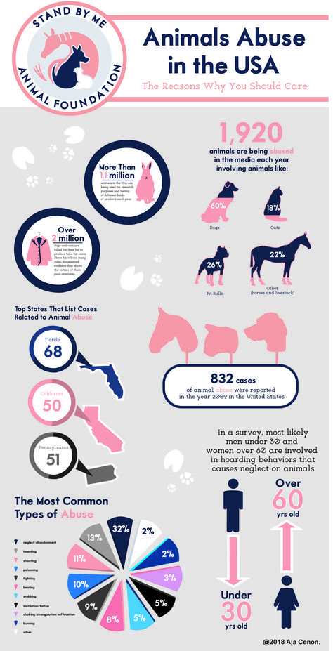 Animal Information Poster, Animal Infographic Design, Pet Infographic, Dogs Infographic, Informational Poster, Ar Book, English Poster, Infographic Ideas, Animal Infographic